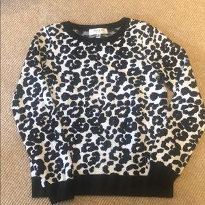 EUCAdorable Milly Minis Sweater for your Sweetie❤️